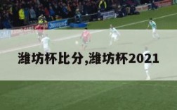 潍坊杯比分,潍坊杯2021